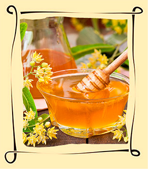 Липовый мед: полезные и лечебные свойства