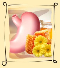 Лечение желудка медом 